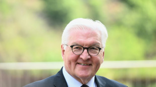 Steinmeier würdigt Ehrenamtliche mit Fest im Schlosspark Bellevue