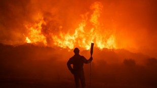 La probabilidad de incendios forestales excepcionales aumentará de aquí a finales de siglo, alerta la ONU