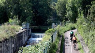 Alsace: la remise en navigation du canal Rhin-Rhône suspendue