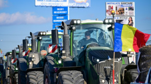 En Roumanie, le désarroi d'agriculteurs "au bout du rouleau"