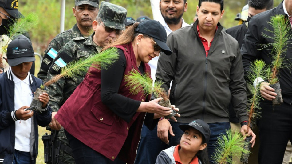 En onze ans, le Honduras a perdu 10% de ses forêts