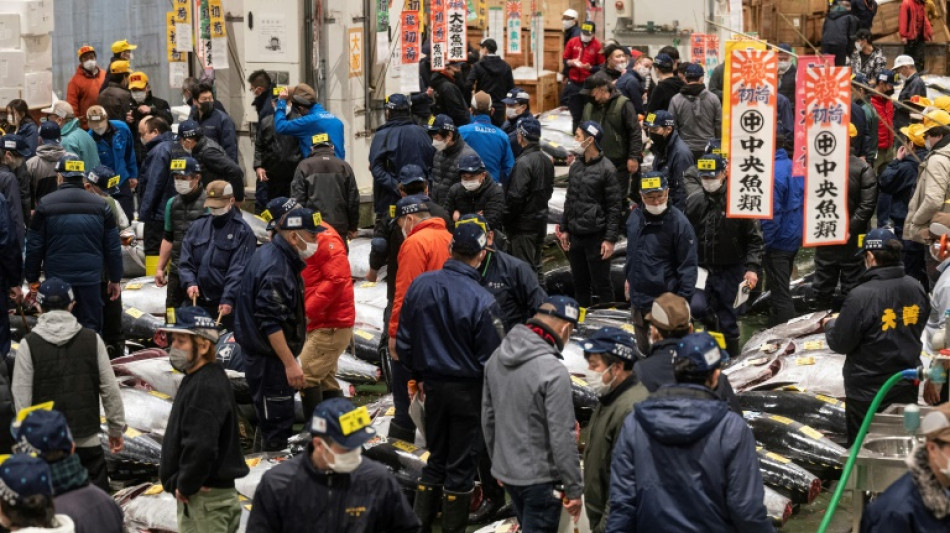 Une célèbre vente aux enchères de thons à Tokyo reprend des couleurs après 3 ans de pandémie