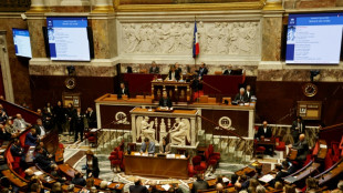 Retraites: derniers décomptes fébriles à l'Assemblée avant un vote crucial