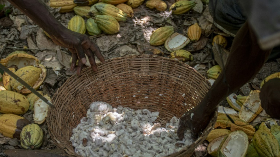 Ghana's cocoa farmers turn to smuggling as currency falls