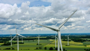 Bundesverwaltungsgericht verhandelt über Lärmschutz bei Windrädern