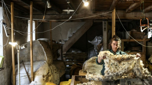 Dans les Pyrénées, filer la laine locale, pour éviter de la jeter