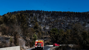 Progresa la lucha contra el incendio que quema miles de hectáreas al oeste de España